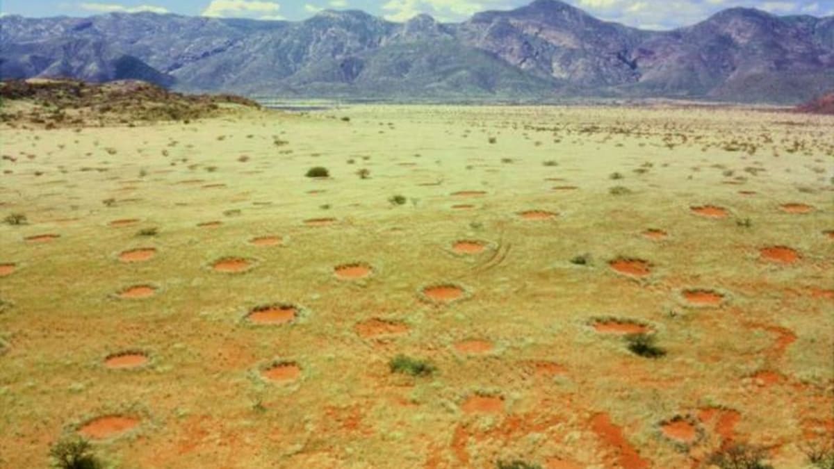 Kruhy v Namibii