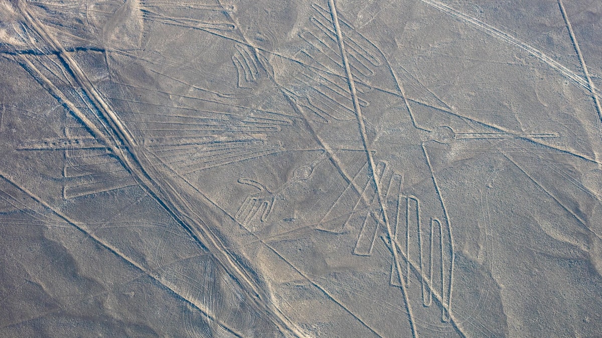 Planina Nazca - kondor