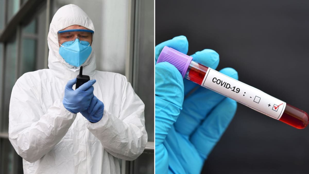 Jak vlastně "funguje" nový koronavirus?