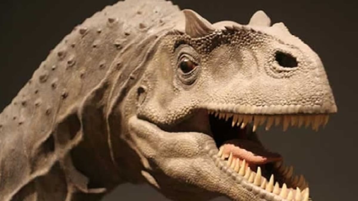 Předchodcem tyranosaura byl allosaurus