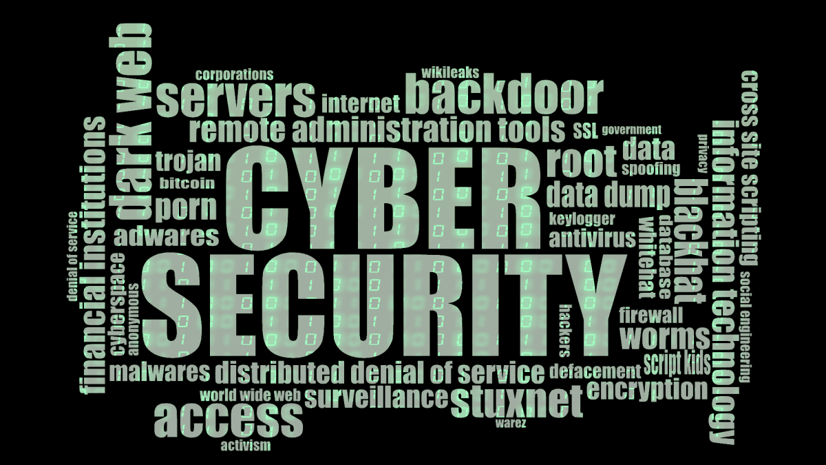 Kybernetická bezpečnost - klíčová otázka budoucnosti