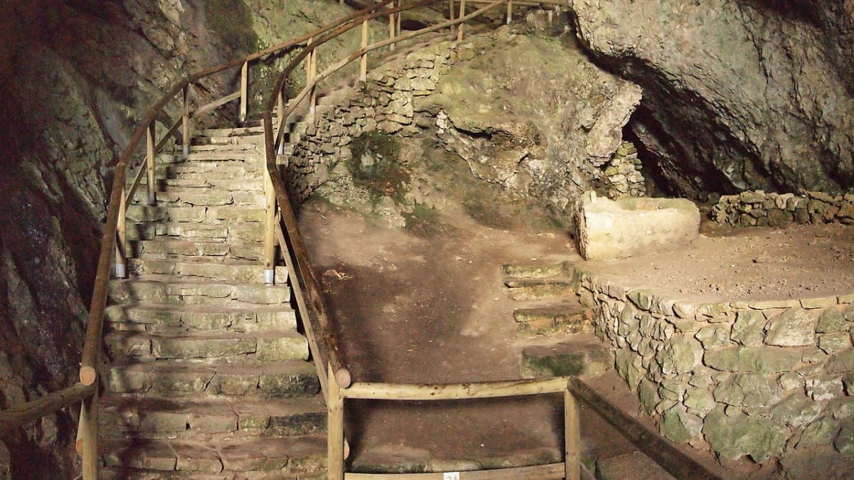 Jeskyně přímo za hradem Predjama je útočištěm netopýrů