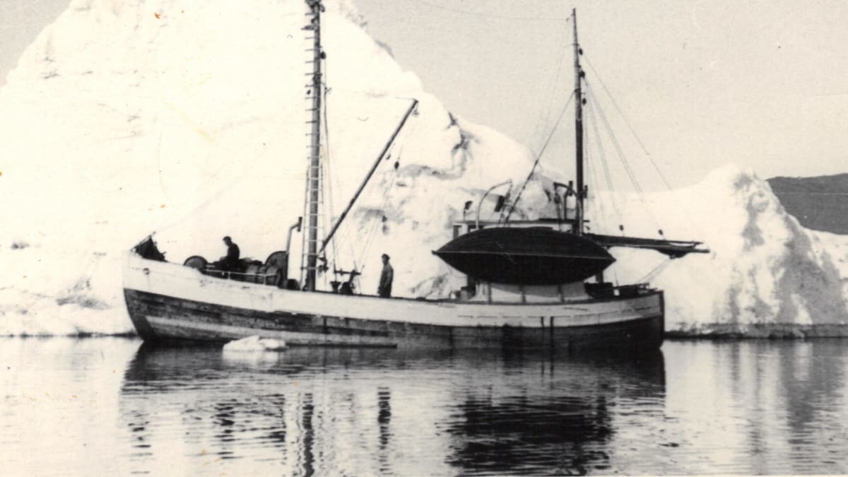 Loď Anna ještě v době své aktivní "tuleňářské" kariéry (1960)