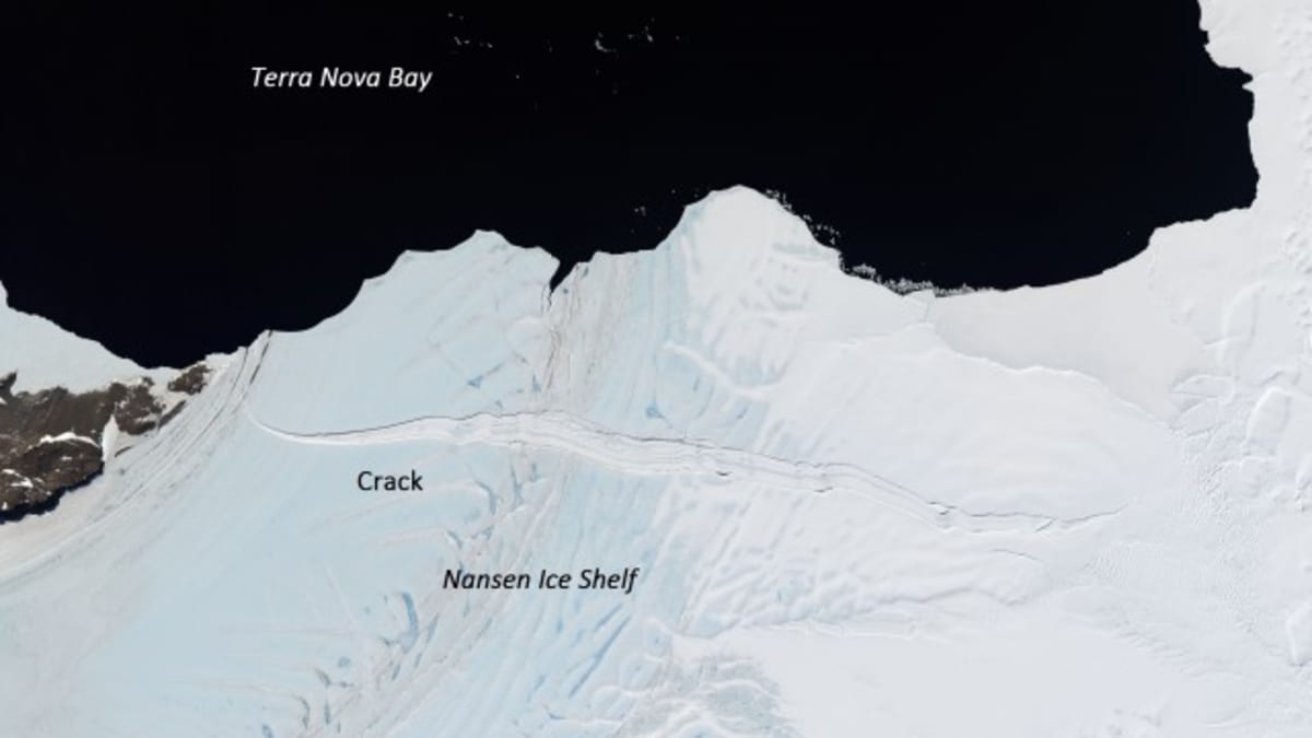Nansenův ledovcový šelf