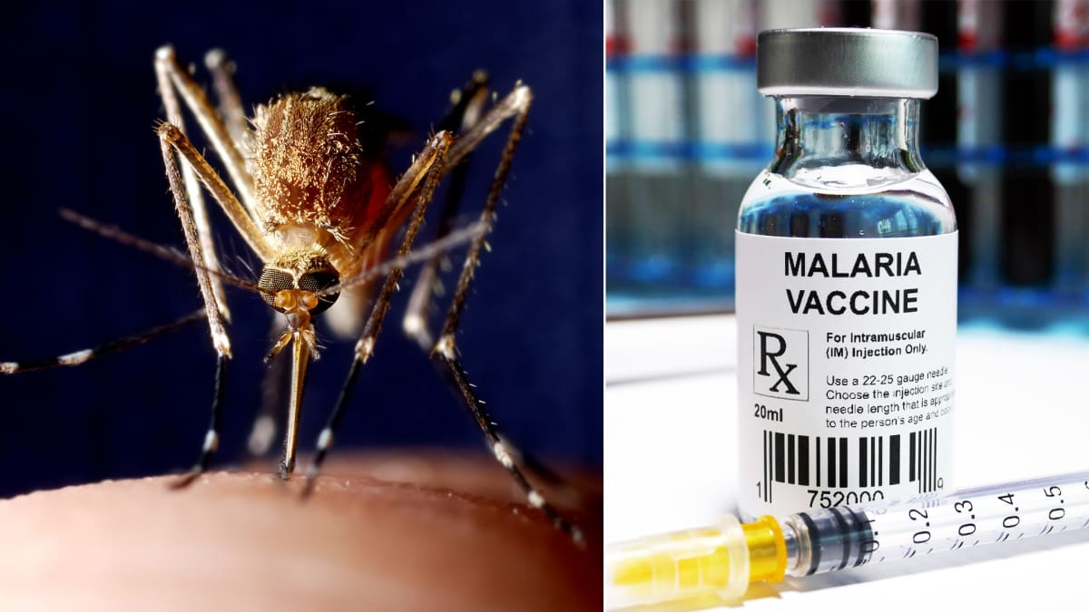 Testování vakcíny proti malárii zatím probíhá úspěšně