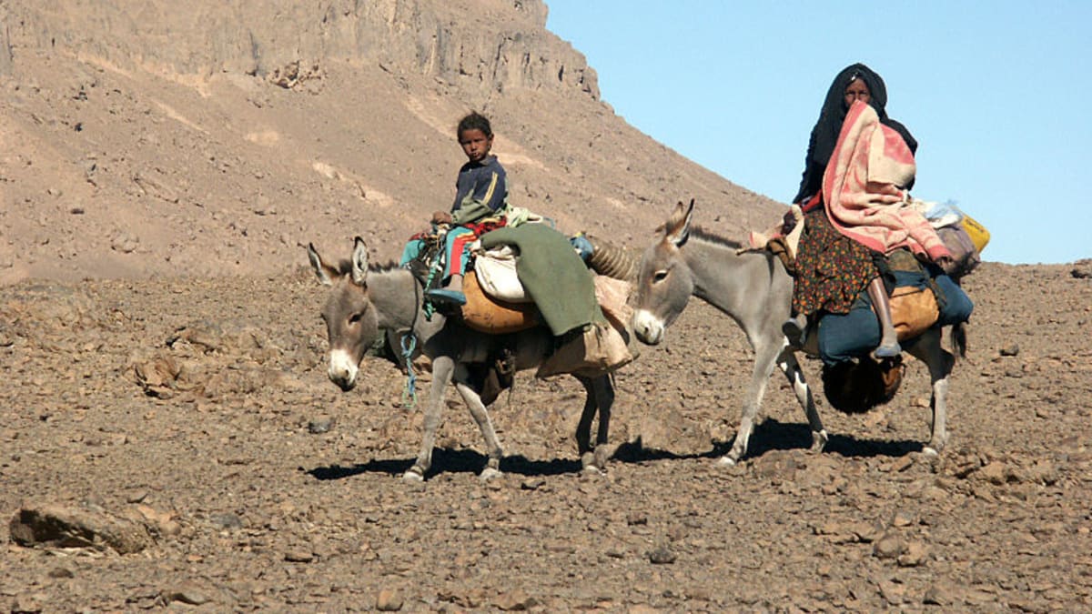 alžírští Tuaregové