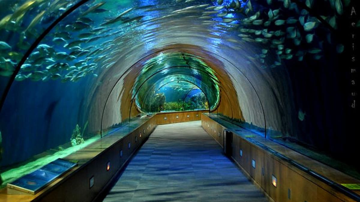 Největší a nejkrásnější akvária světa