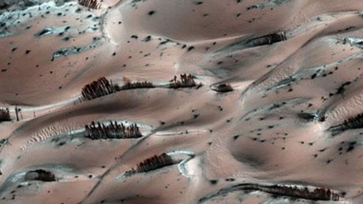 Mars: černé stromy