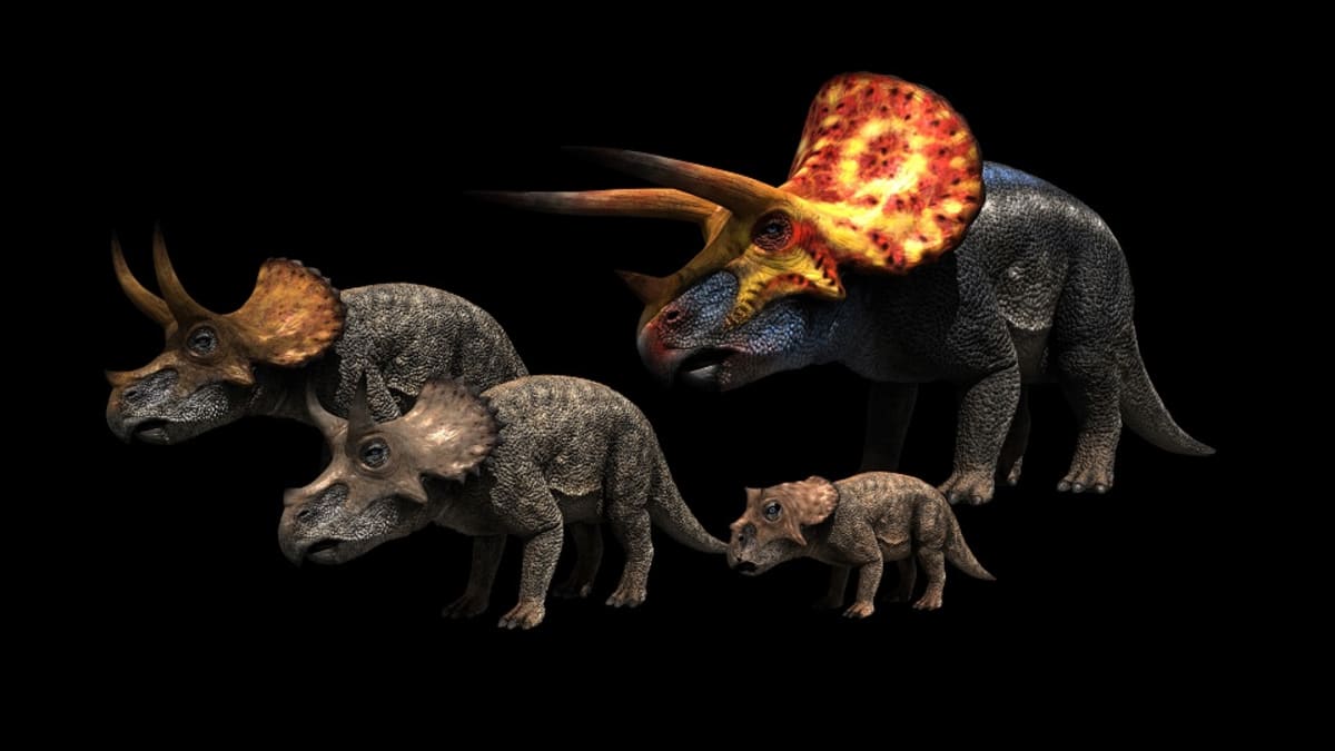 Dinosauři v novém světle