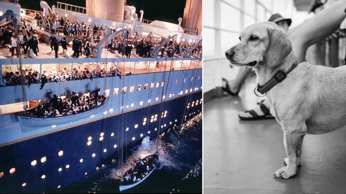 Na Titanicu umírali i domácí mazlíčci