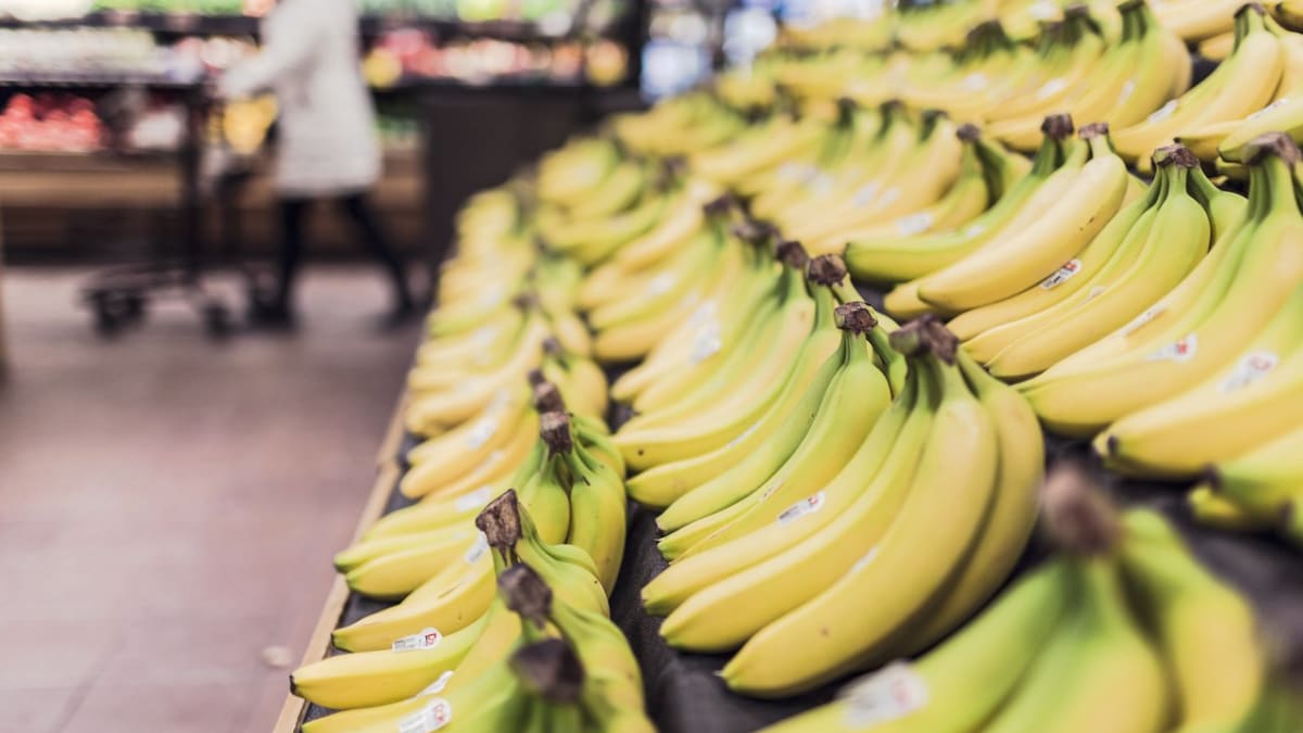 Přijde lidstvo o banány?