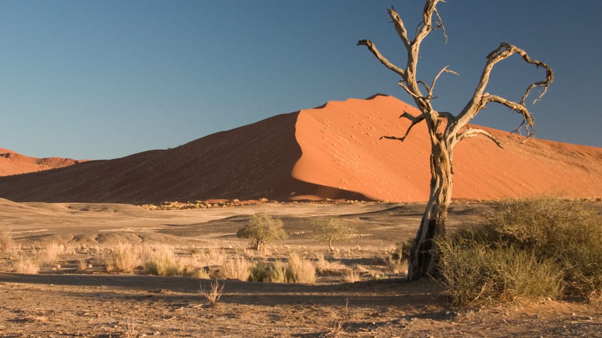 Poušť Namib s charakteristickými obřími dunami
