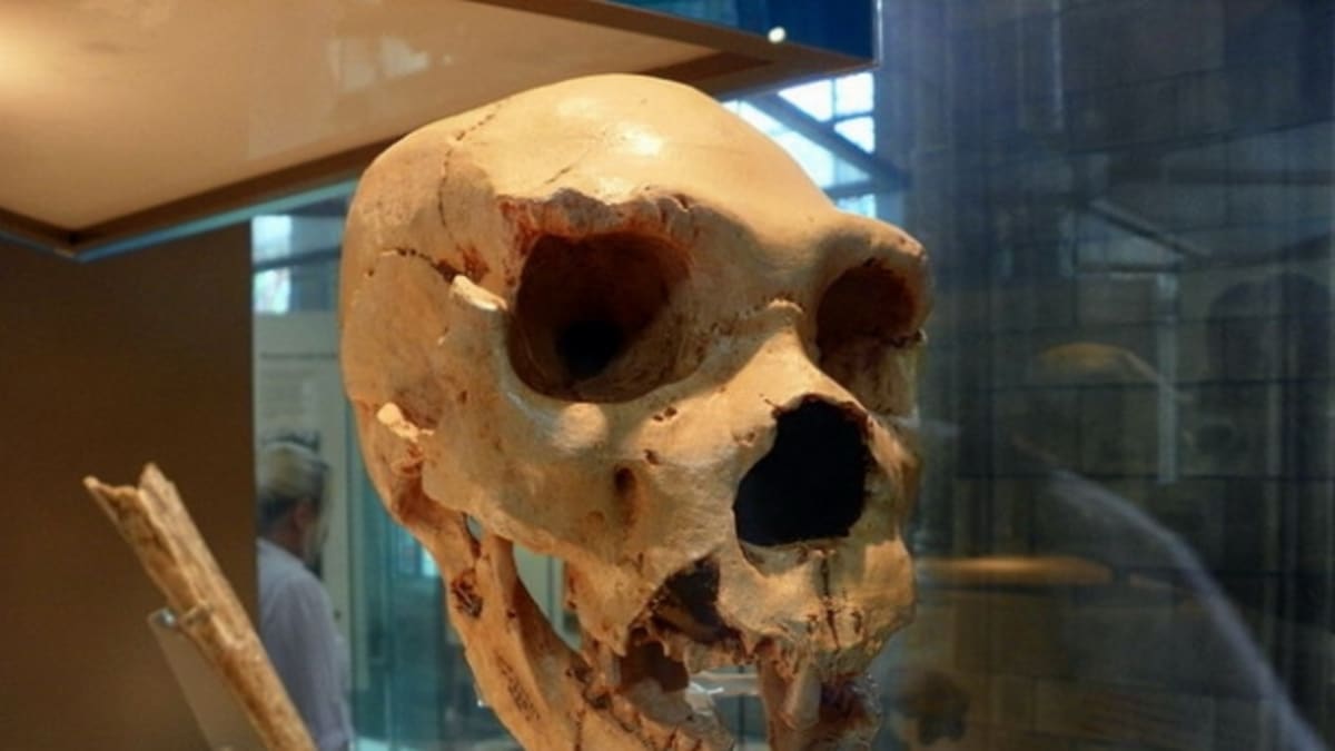 Tato lebka člověka neandrtálského pochází z doby kolem roku 400 000 př.n.l. FOTO: Wikimedia Commons