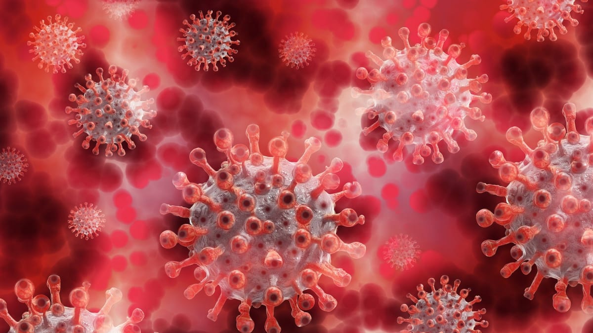 Tvar koronaviru se stal světově známým