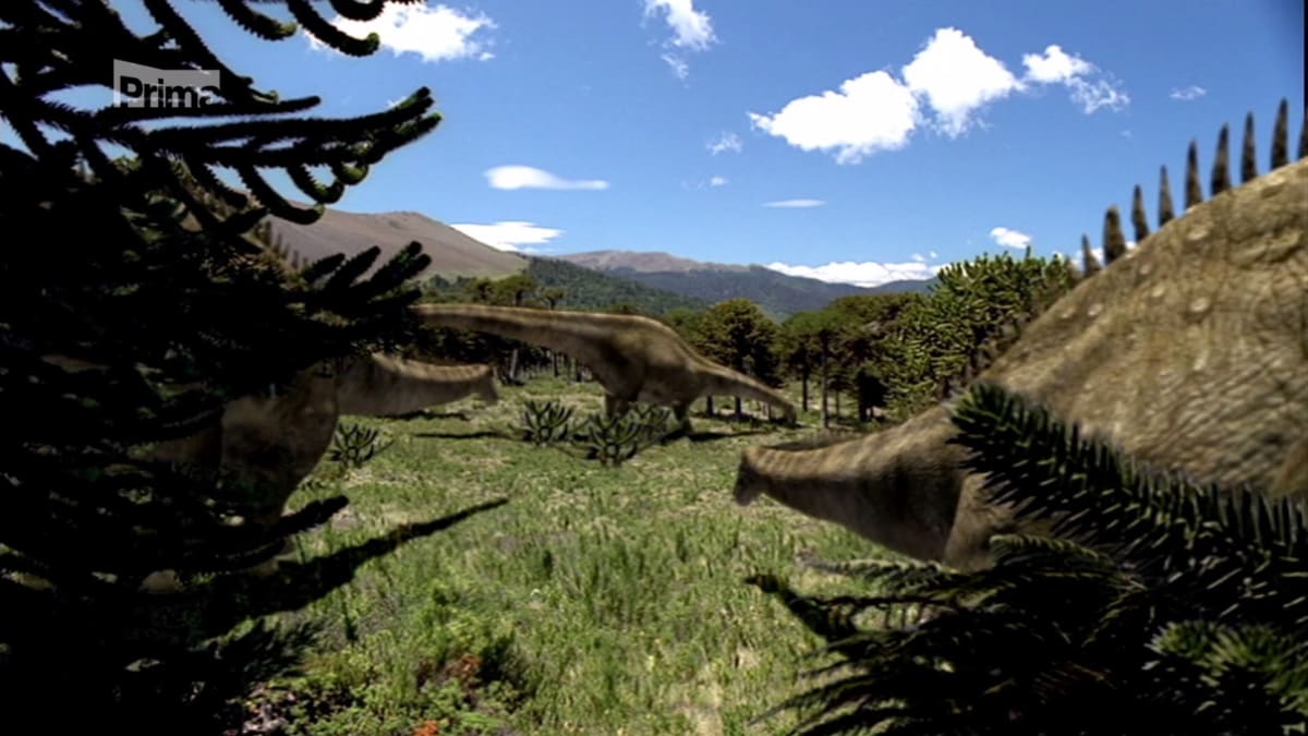 Putování s dinosaury - stádo diplodoců
