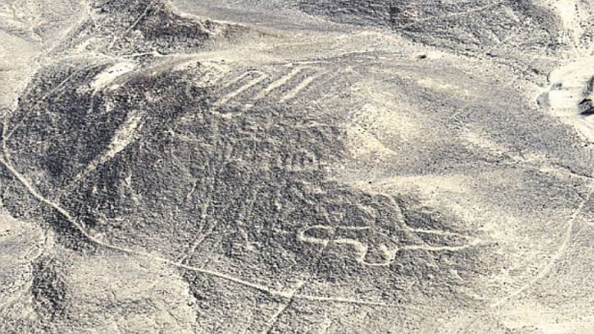 Nové obrazce na plošině Nazca