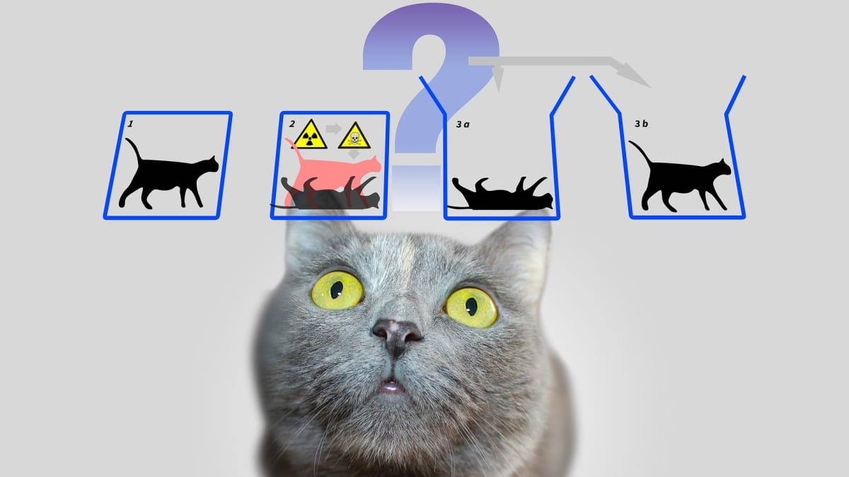 Dočkáme se skutečné Schrödingerovy kočky?