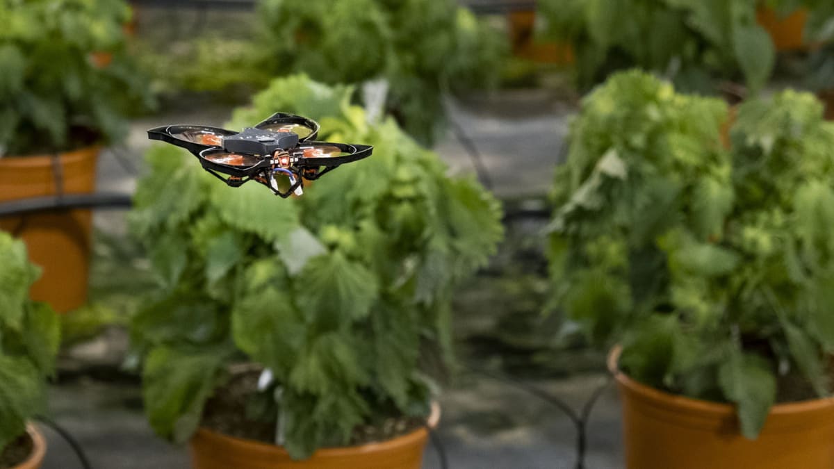 Dron, který pomáhá ochránit úrodu