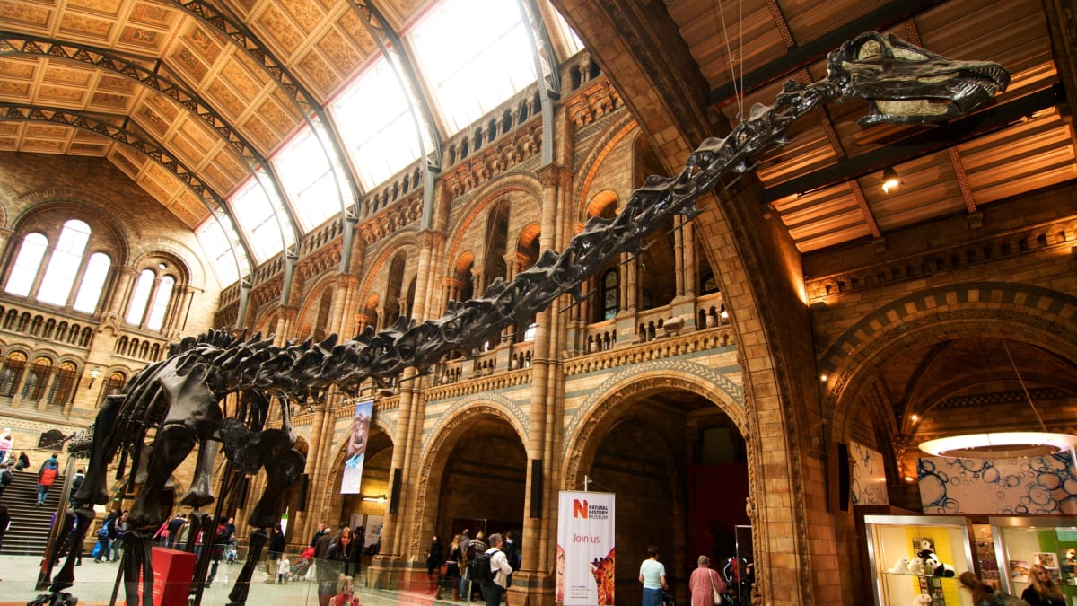 Kvadrupední dinosaurus vás uvítá při vstupu do Londýnského Nature museum