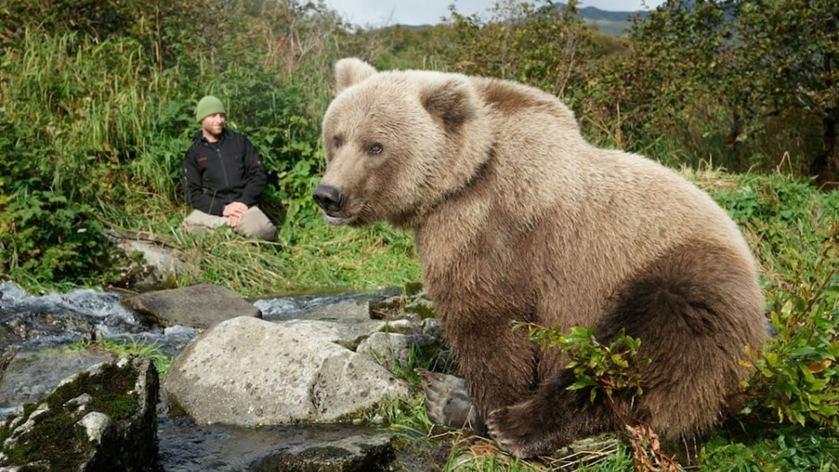 Sám mezi medvědy grizzly
