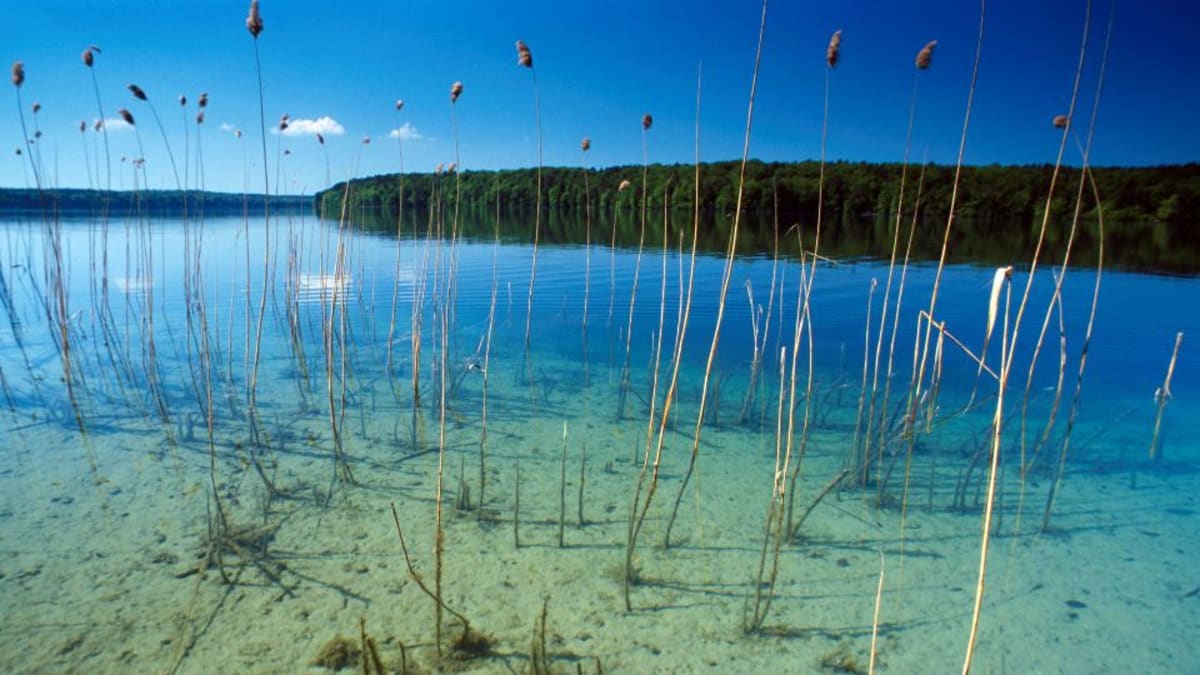 Stechlin: Svět průzračných jezer