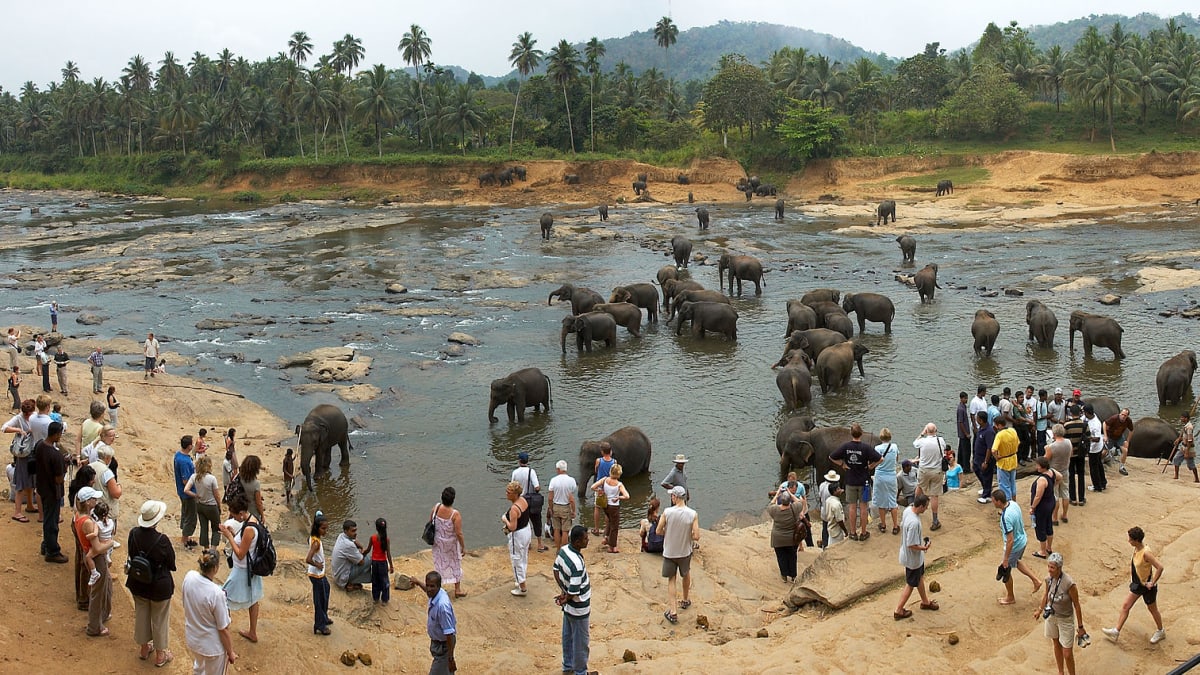 Turisté ve sloním sirotčinci v Pinnawale