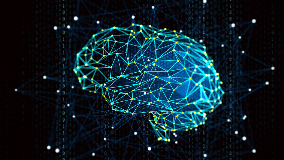 Odhalí Blue Brain Project tajemství mozku?