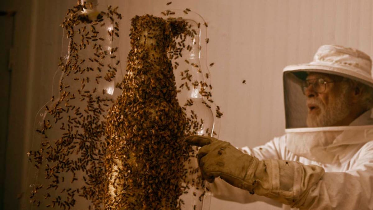 3D lahev vyrobená včelami