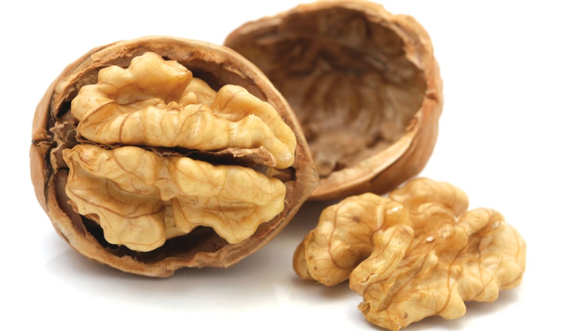 Vlašské ořechy lidé milovali odpradávna - už jen kvůli tvaru, který připomíná lidský mozek