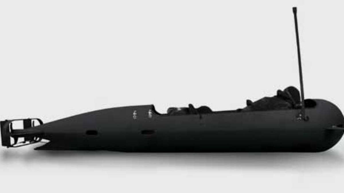 Seal torpedo