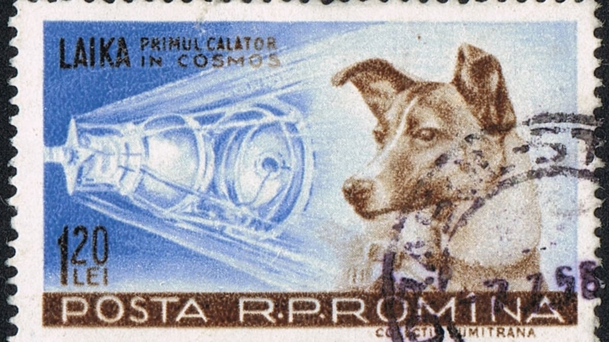Lajka na rumunské poštovní známce z roku 1959