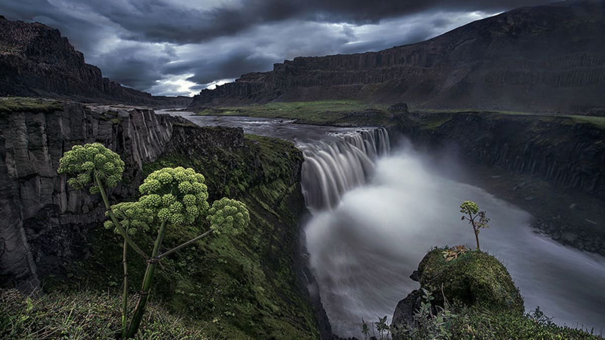 26 důvodů, proč musíte alespoň jednou v životě navštívit Island - Obrázek 10