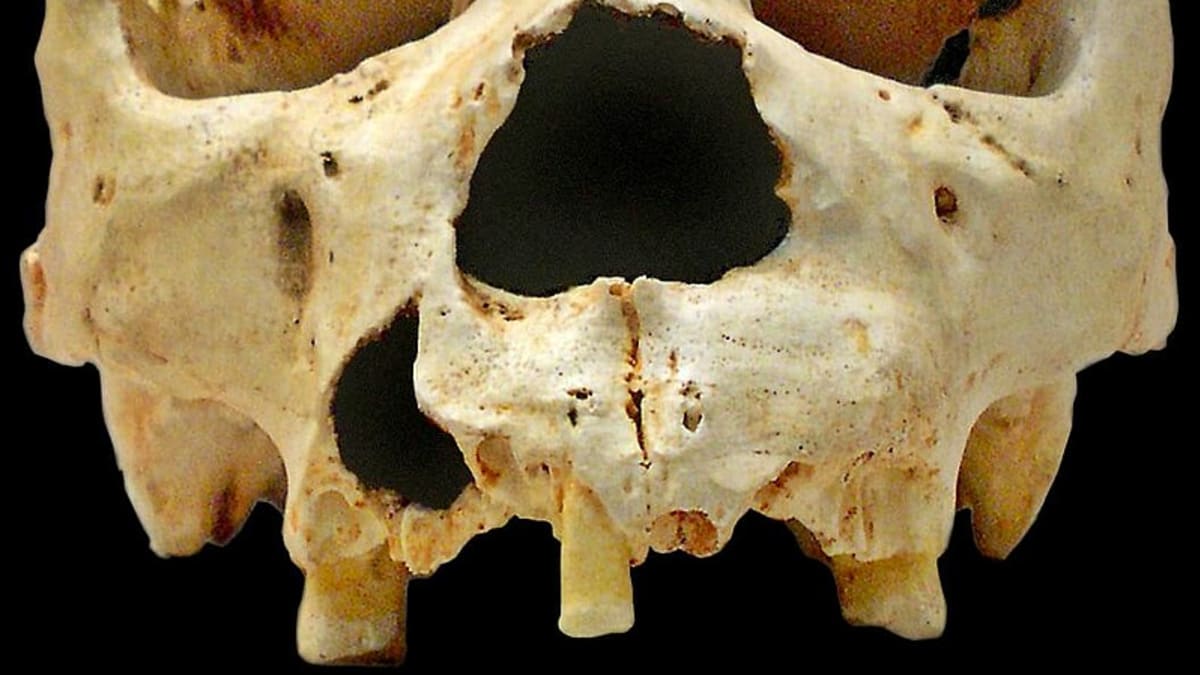 Lebka Homo heidelbergensis