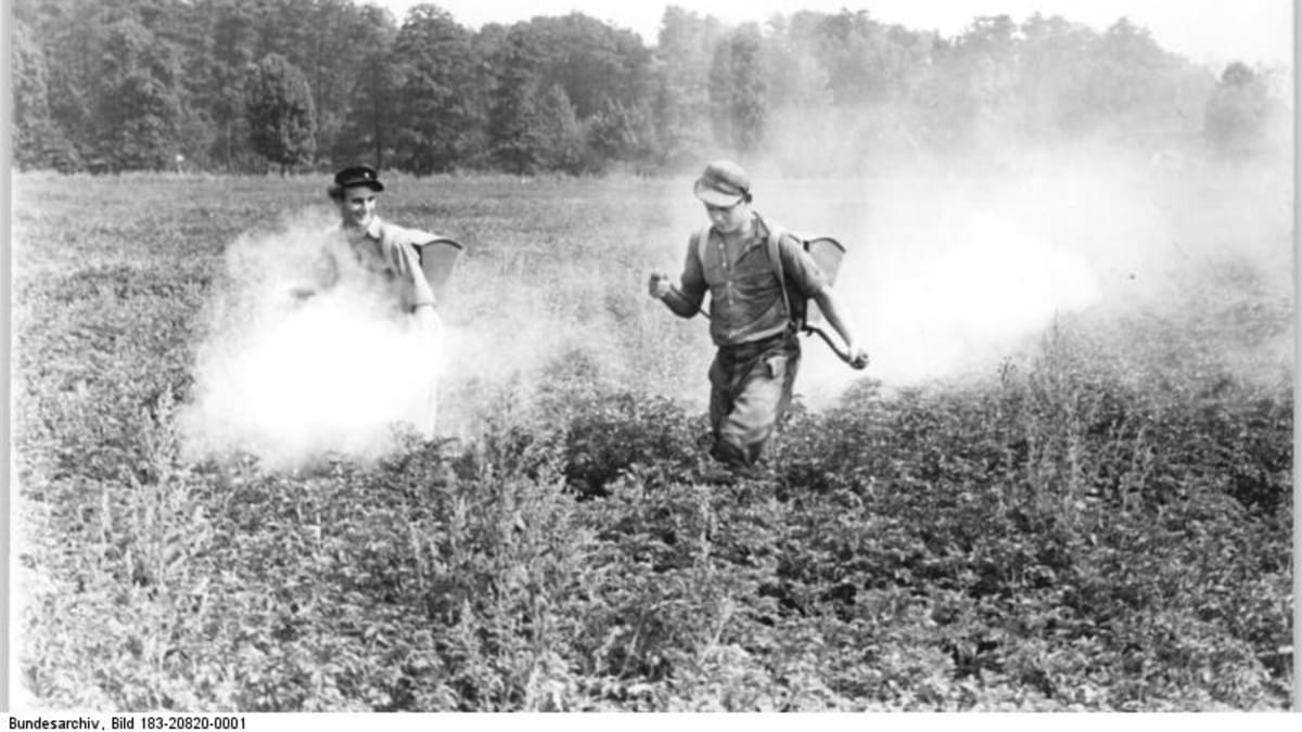 NDR a rozprašování DDT