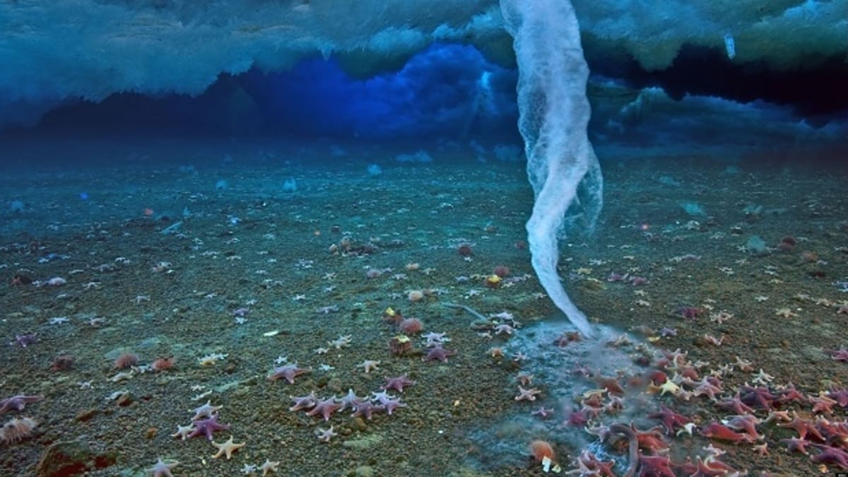 Ledový krápník na dně oceánu