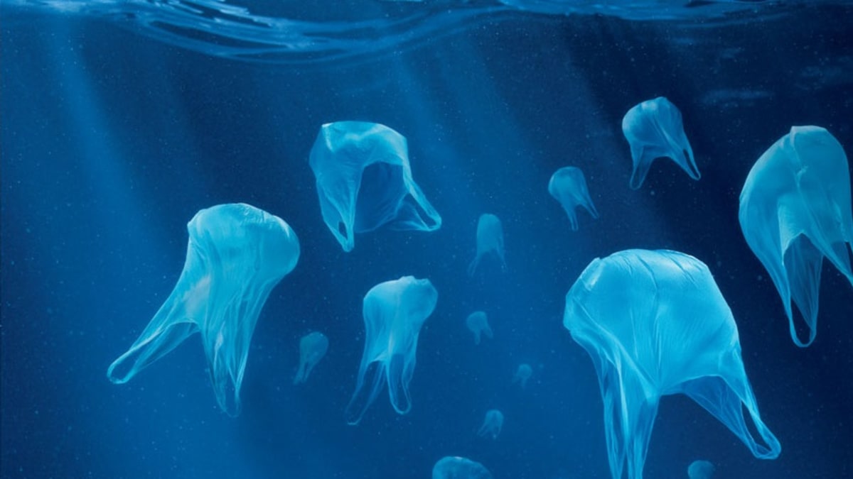 Plastové pytle jako medúzy