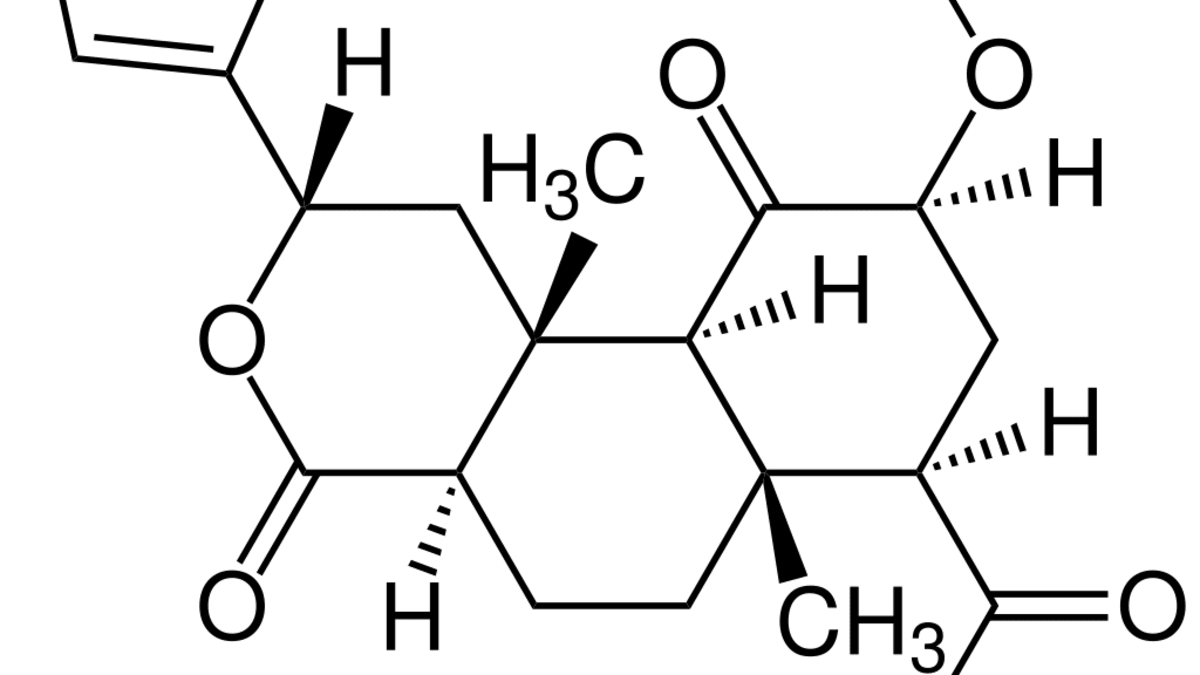 Salvinorin A – chemické složení