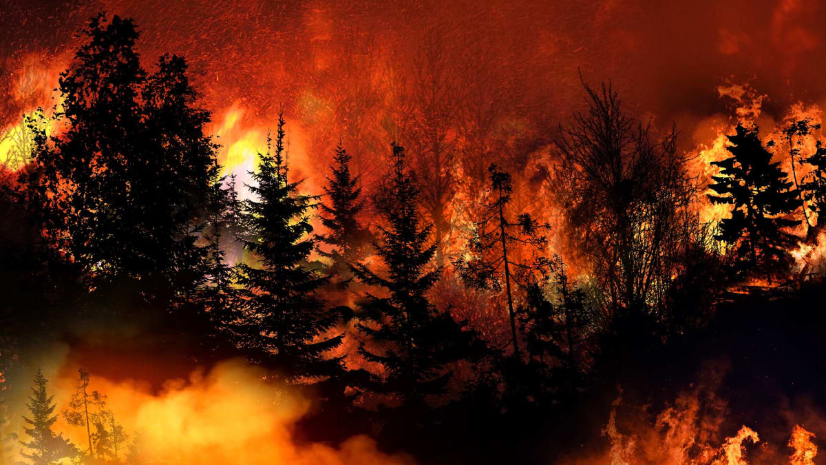 V Peshtigu zuřil nejničivější lesní požár v dějinách (ilustrační foto)
