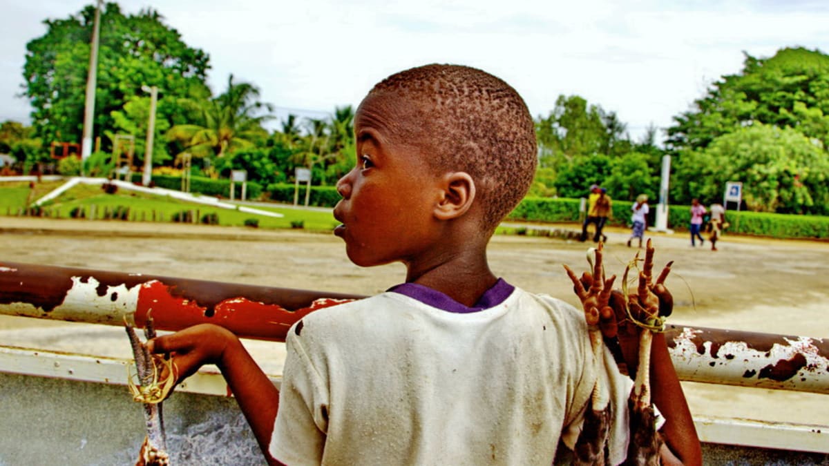 V bývalé portugalské kolonii Mosambiku si potrpí zejména na slepici (galinha). FOTO: Michael Josephy