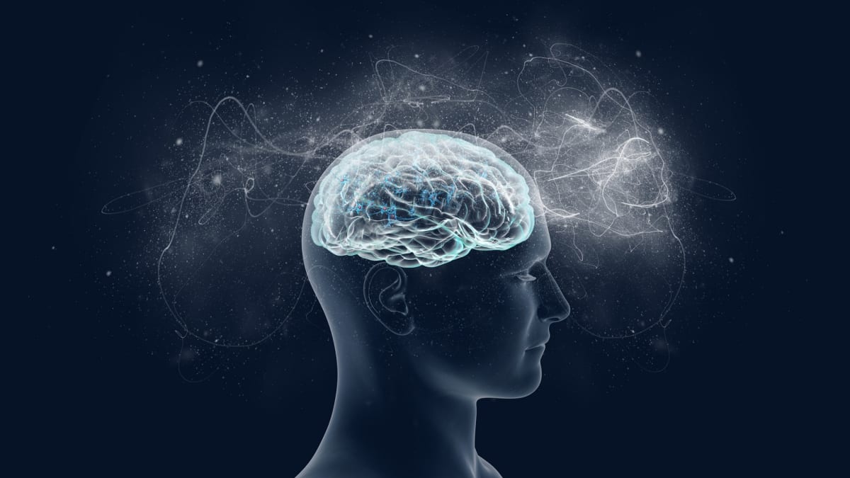 Mozek, oči a vědomí