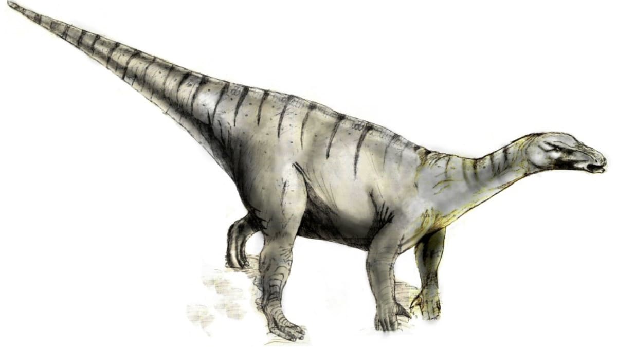 kresba dinosaura druhu Iguanodon bernissartensis