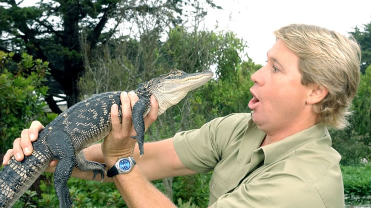 Irwin s krokodýlím mládětem