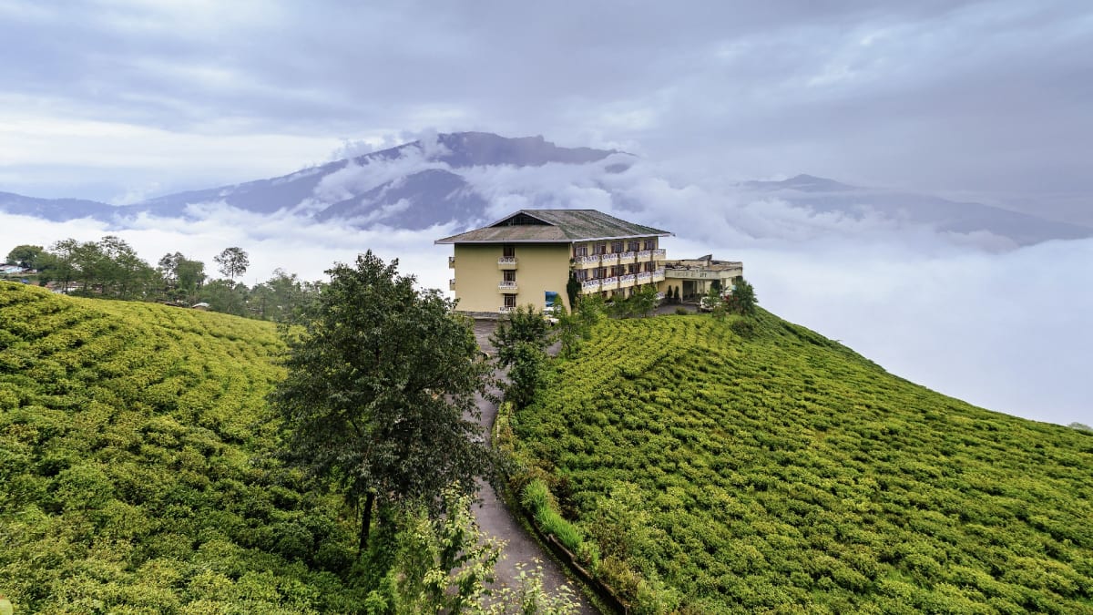 Čajová plantáž v Sikkimu