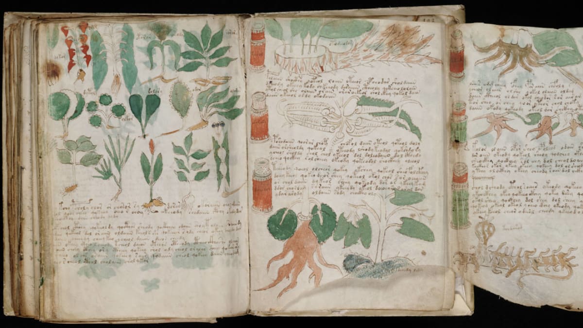 Je Voynichův rukopis napsán zašifrovanou staročeštinou?