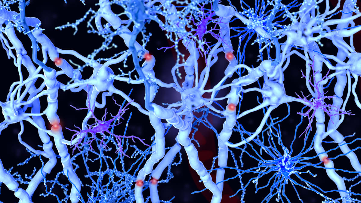 Spletitá síť mozkových buněk je fascinující pro vědce i laiky