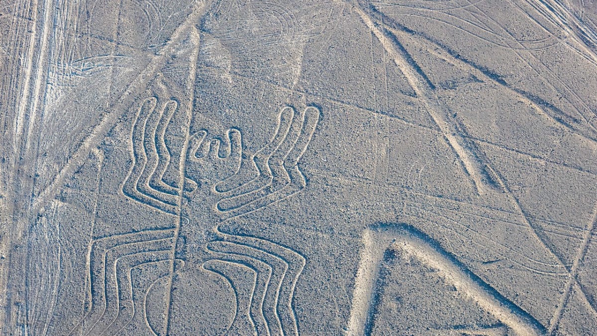 PLanina Nazca - pavouk