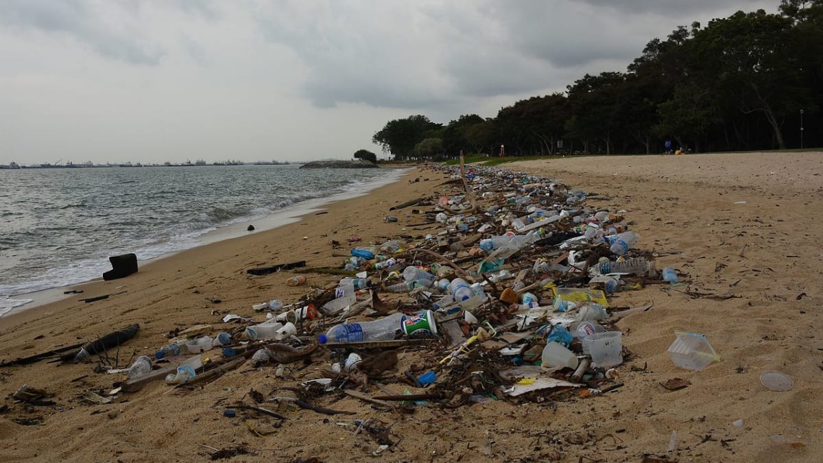 Pláž na pobřeží - plastový hnus na mnoha místech světa - Singapuru po jižní Itálii