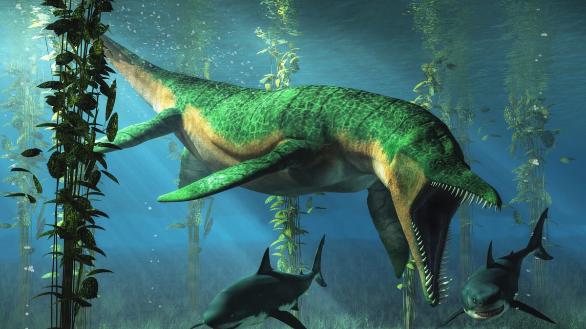 Na rozdíl od liopleurodona žraloci poslední velké vymírání druhů přežili