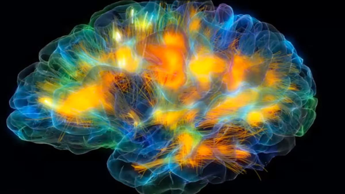 Fantastická modelace lidského mozku ve 3D