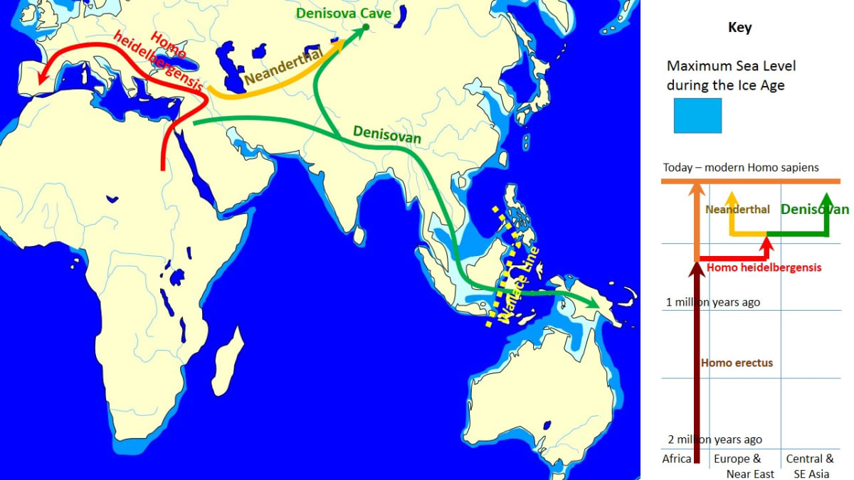 Cesty genů Denisovanů světem
